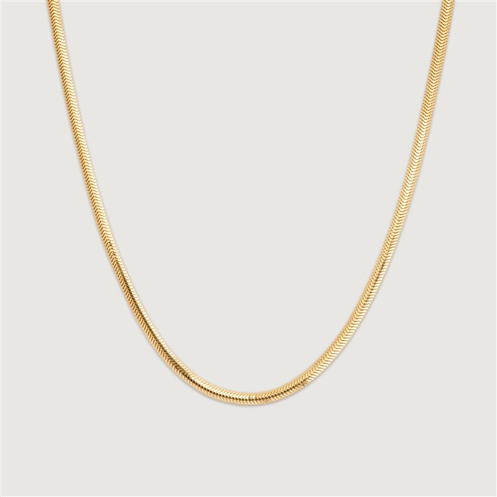 زنجیر فلت ۱